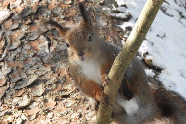 DSCN9663 — копия — копия
